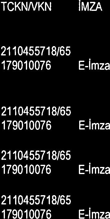 140.992,0 Vekaİeten Temsitci BiİİurTUNÇOĞLU STİCHTİNG SHEEL CAREL VAN BYLANDTLAAN 30 2596 HR 115 PENS 7810287761 Yabancı S