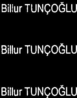 EC4Y 118 AETNAİNC 7340481713 Yabancı OJPUKUKJBİRLEŞİKKRALLİK Vekaİeten Temsiİci BIIİurTUNÇOĞLU DİMENSİONAL EMERGİNGMARKET