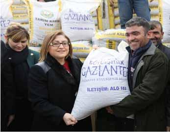 ile gebe hayvanların yetersiz e nedeniyle yavru atmasını k ve süt