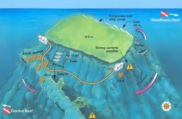 Woodhouse Reef Thomas Reef Thomas Reef Boğazdaki en küçük resifdir, aynı zamanda en popüleri, hava koşullarına göre dalış belirleniyor, çünkü batı kanadı akıntı nedeni ile dalgıçları tekneye almaya
