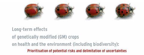 Beetle Project (EU) 2010 Sağlığa etkiler 4 kategoride Beslenme