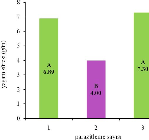 parazitoitlerde, en uzun ortalama yaşam süresi ise üç kez parazitlenen konukçudan çıkış yapan parazitoitlerde bulunmuştur. Çizelge 4.
