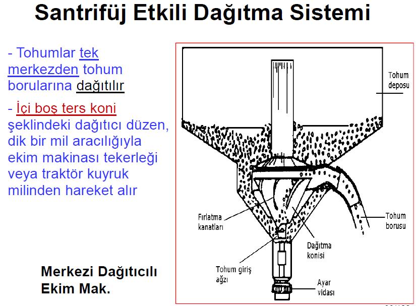 tip Ekici