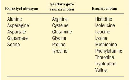 Üre siklusunda meydana gelen genetik değişiklikler ölümcül sonuçlara yol açabilirler. Ancak bu tip rahatsızlıkları olan insanlar için proteinsiz beslenme bir tedavi olasılığı değildir.