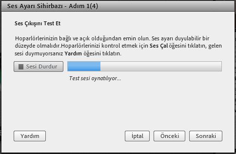 İlk adımda bilgisayarınıza bağlı olan hoparlörleri test etmeniz istenir.