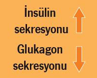 tiazolidindion; SGLT : sodyum glukoz