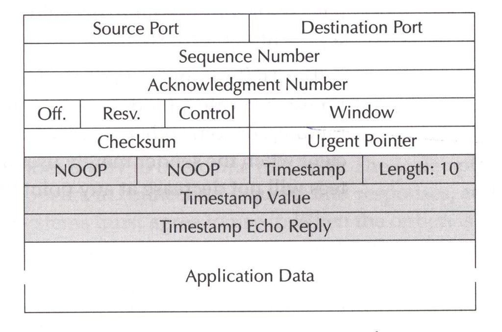 TCP bu timestamp değeri için bazı gereksinimler ortaya koyar. Bu değer saniye, dakika veya diğer standart zaman birimlerinden biri olmak zorunda değildir.