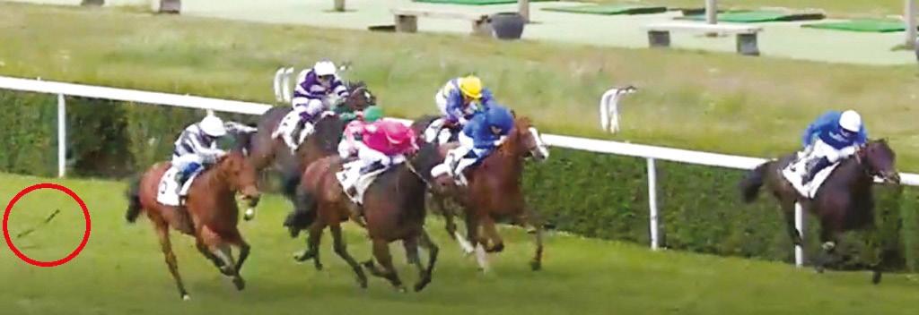 Paris teki Saint Cloud Hipodromunda koşulan 4+ İngilizlere mahsus G1 Prix Ganay ı, Godolphin e