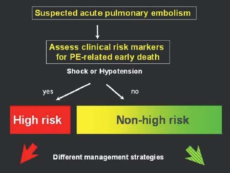 mevcuttur Akut nde risk sınıflaması önemli bir yer teşkil eder Risk sınıflaması Klinik görünüm Vital bulgular Kardiak enzimler Sağ ventrikül fonksiyonu parametreleri kullanılır 3 4 PE risk