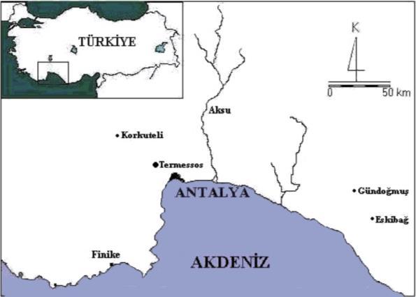 136 Araştırma alanının yüksekliği Altkırkkavak Mevkii ndeki Alabalık çiftliği civarında 250 m. den başlamakta olup, bu kısımlar arazinin en alçak kesimlerini oluşturmaktadır.