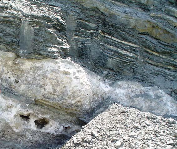 6.1 Borat Cevherleşmesinin Mineralojisi Kestelek borat yatağında yapılan mineralojik incelemelerde borat minerali olarak yalnızca kolemanit belirlenmiştir.