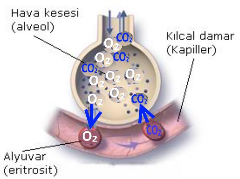 Şekil 3.