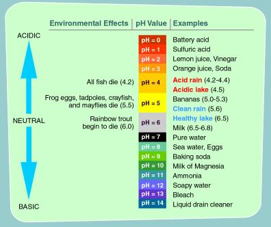 Hiçbir yabancı maddeyle kirletilmemiş bir atmosferde bile yağmur suyu hafif asidik karakterdir ve ph derecesi 5.6 civarındadır.