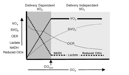 DO 2 -VO