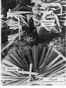 Monosulfat Aluminat ve Etrenjit