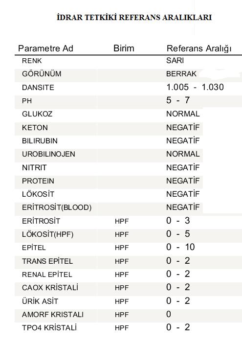 Sayfa No: 40/80