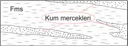 Alt ve üst sınır ilişkisi çoğunlukla matriks destekli konglomera ile yanal düşey geçişlidir.