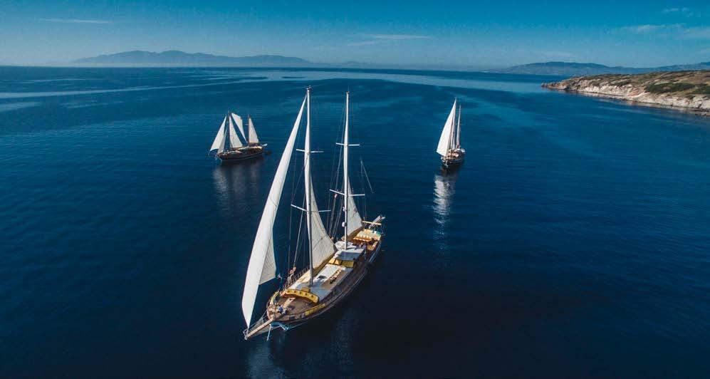 yüzyıl Haçlı Kalesi, Sualtı Arkeoloji Müzesi, Halikarnassos un Antikçağ dünyasının yedi harikasından biri olan Mausolos Anıtı Bodrum a ayrıca tarihsel bir boyut da katar.