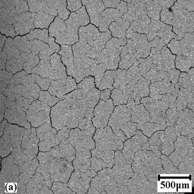 67 WP Polycarboxylate Simana Ait SEM İncelemeleri: WP Polycarboxylate siman, Adhesor