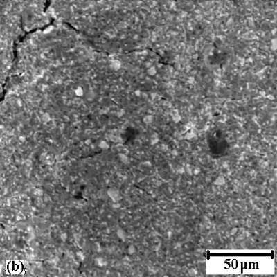 14-b de verilmiş olan SEM yüzey görüntüleri, homojen olmayan porlu ve çatlaklı bir