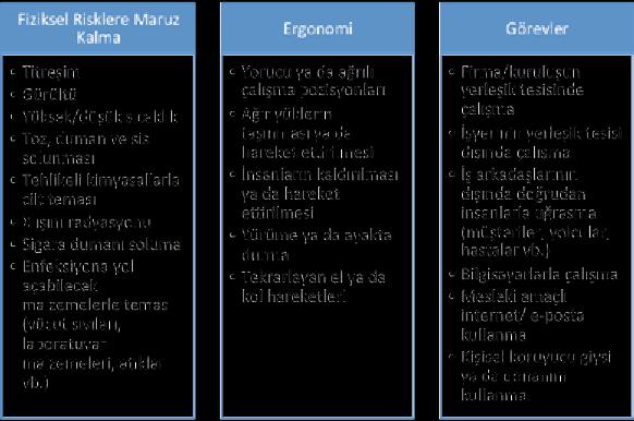 Şekil 21.3 Polonya İşyeri Çalışma Koşulları Araştırmasında Kullanılan ve Avrupa İşyerleri Çalışma Koşulları Araştırması Paralelinde Belirlenen İşyeri Fiziksel Faktörlerinin Sınıflandırılması (6).