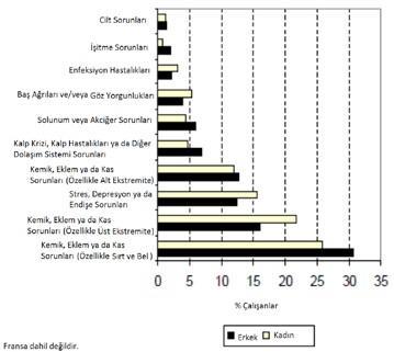 Avrupa Çalışma Koşulları Araştırması 2010 sonuçlarına göre, çalışma koşullarında fiziksel risklerle ilgili olumsuz koşullar yüksek olmaya devam etmektedir.