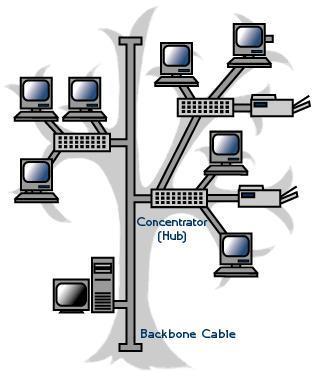 Ağaç (Tree) Topoloji Hiyerarşik yapıdaki ağlar için kullanılır. Genellikle yıldız topolojisindeki ağları birbirine bağlamak için kullanılır.
