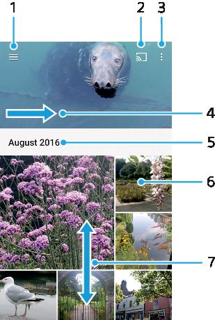 Albümdeki fotoğraflar ve videolar Fotoğrafları ve videoları görüntüleme Kameranızla çekmiş olduğunuz fotoğrafları görüntülemek, videoları oynatmak veya cihazınıza kaydetmek için Albüm uygulamasını