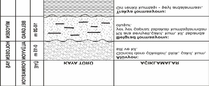 Şekil 2.