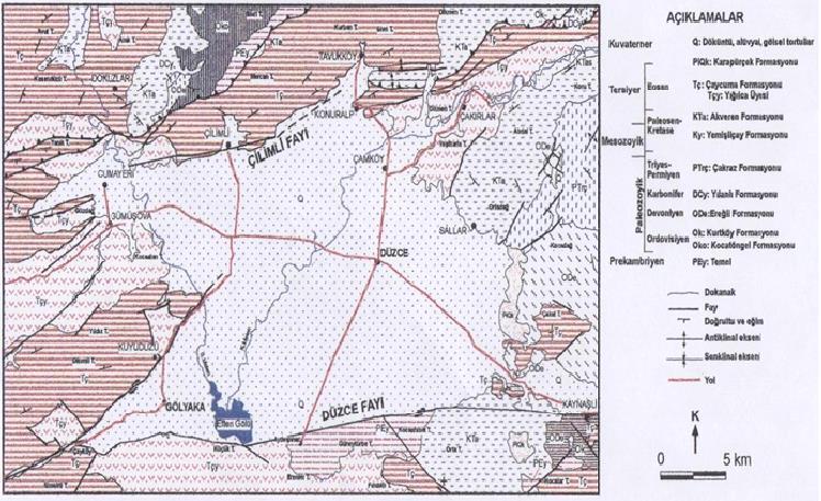 (Tç) ve Yığılca Üyesi (Tçy); kumtaşı-konglomera-marn-tüfit (volkanik kumtaşı) ten oluşan Çaycuma formasyonu Erken-Orta Eosen yaştadır. Düzce nin kuzeyi ve batısında iyi gözlenir.