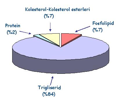 ŞİLOMİKRONLAR Eksojen (diyet) kaynaklı lipidlerin taşınmasını sağlarlar.