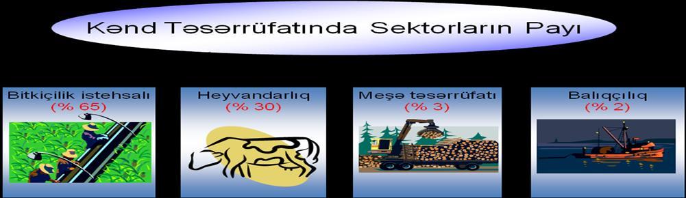 (Mənbə: Türkiyə Respublikasının İnkişaf Nazirliyi 2010-cu il) Türkiyə Respublikasında 24,5 milyon hektar ümumi əkin sahəsinin 67%-i istifadə olunmaqla 4,3 mln hektarı, yəni