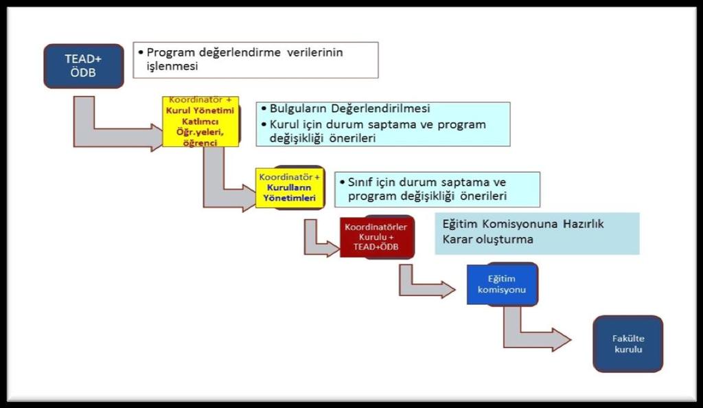 2017), ardından Fakülte Kurulu nda (02.08.2017) görüşülerek karara bağlanmıştır (Ek TS.2.1.1/6, Ek TS 2.1.1/7). Şekil TS.2.1.1/1: TÜTF Mezuniyet Öncesi Eğitim Programı nı değerlendirme ve yapılandırma süreci.