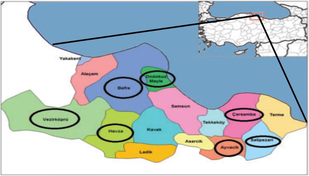 Bu çalışmada kooperatif ortakları, kooperatifçilik ilkelerini bilinç düzeylerine göre kümeleme analizi yönteminden faydalanarak üç gruba ayrılmıştır.