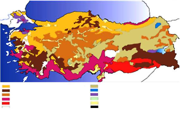 KPSS Türkiye Coğrafyası e) Kahverengi step toprakları: Yarı kurak bölgelerde gözlenir. İç kesimlerin tümünde yaygındır.