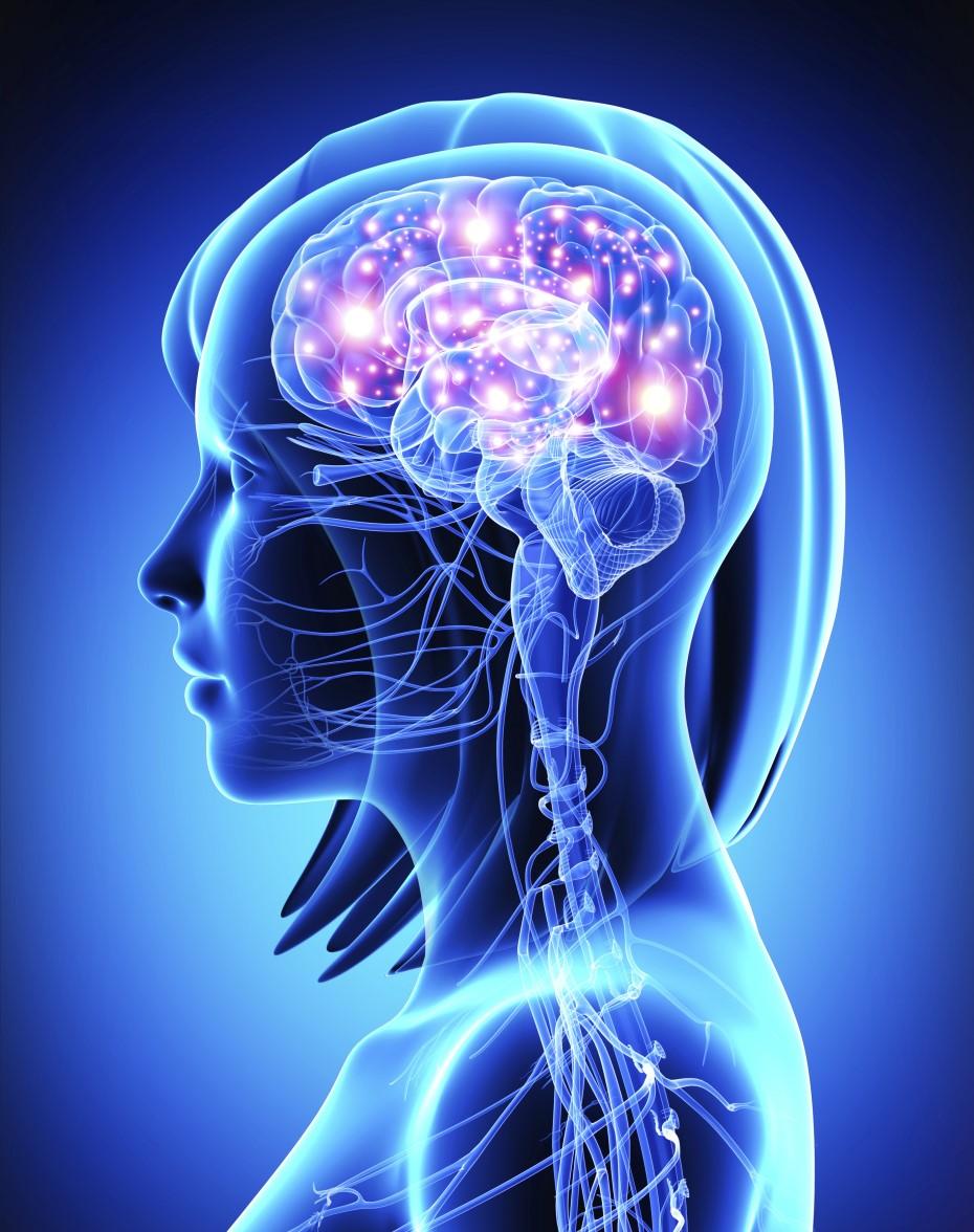 Hafıza disfonksiyonu, inme sonrasında sık telaffuz edilen kognitif problemlerden biri değildir, vasküler kognitif bozukluğu olan