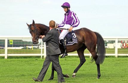 2 Haziran 2012 * Epsom Downs * 2400m çim * 3 yafll taylar 1. CAMELOT (Montjeu - Tarfah / Kingmambo) Joseph O Brien / Aidan O Brien / Smith & Magnier & Tabor 2.