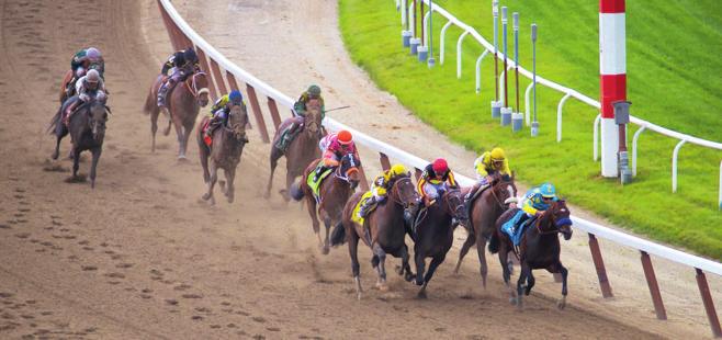 BELMONT STAKES G1 [USA] Daha önce Preakness ve Kentucky Derby Yar fllar n kazanan I ll Have Another n, Cuma günü bir tendon ar