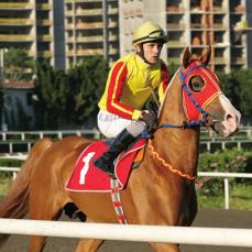 NA LAVUNDUK 8 Haziran 2012 Veliefendi Hipodromu 1600 m sentetik 4+ yafll Arap atlar 105.