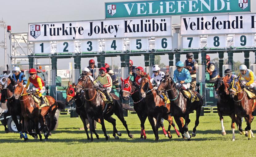 KOSUSU 1. BAfiKAN NEXIA 3y de, Strike The Gold - Turkish Delight / Doyoun Sahibi / yetifltiricisi: Hayrullah Do an, Jokeyi: Ak n Sözen 2.