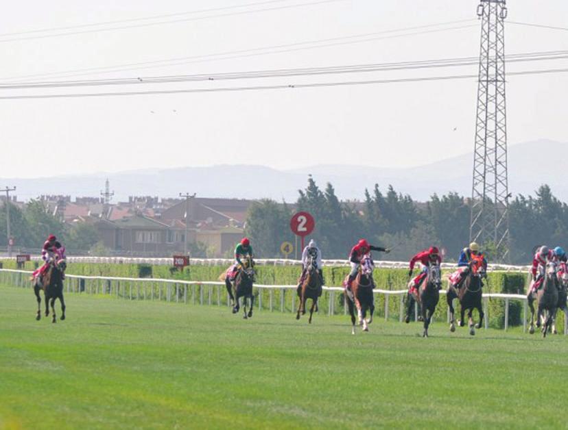 KARACABEYKOSUSU 25 Haziran 2012 Osmangazi Hipodromu 1200 m çim 3 yafll Arap taylar 88.000 TL A3 THERMESOS 1.