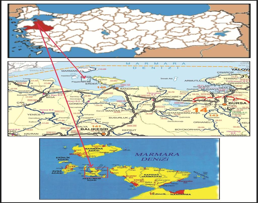 YERLEŞMENİN ÜLKESEL VE BÖLGESEL ÖLÇEKTEKİ YERİ: MEKANSAL BİLGİLER-COĞRAFİ KONUM: Planlama alanı;marmara Bölgesi'nin Guney Marmara Bölümünde yer alan Balıkesir ili,erdek ilçesi,poyrazlı