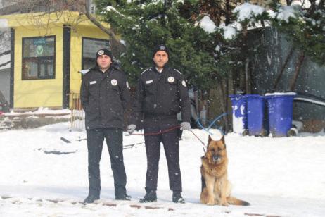 Zabıta Müdürlüğü 159 * Buz pistinde personel görevlendirilerek gerekli önlemler alındı. * 8.Cumhuriyet Bayramı koşusu güzergahında gerekli önlemler alındı.