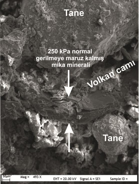 minerali ve bağlayıcı malzemenin SEM