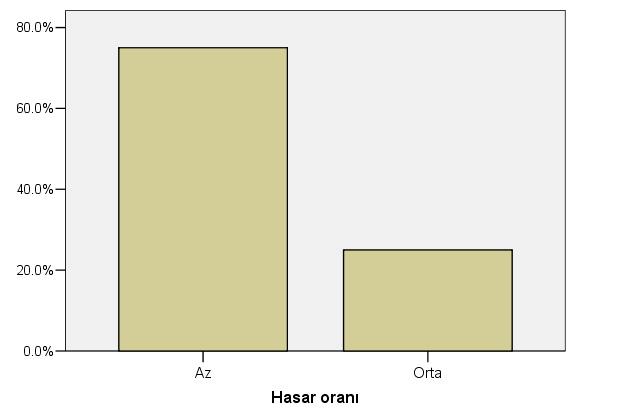 107 Şekil 5.5'de görüldüğü gibi H d 4 m, L d 5 m olan 35 cm kalınlığındaki duvarlar çok ağır hasar görmemiştir. Bu şartlarda olan tek bir duvar dışında (6-T-13) hiçbir duvar ağır hasar görmemiştir.