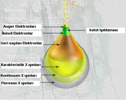 olan girişimler sonucunda yörüngelerinden atılan veya enerjisi azalan demet elektronları numune yüzeyine doğru hareket ederek yüzeyde toplanırlar. Bu elektronlar ikincil elektron olarak tanımlanır.