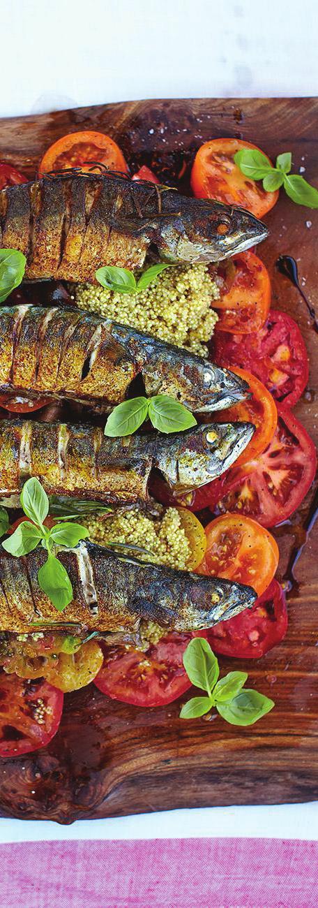 MIGHTY MACKEREL MUAZZAM USKUMRU BALIĞI Wıth Mıxed Tomato & Quınoa Salad / Karışık domates ve kinoa salatası ile birlikte (Cooks ın 15 Minutes / Pişme süresi 15) (4 Serves / 4 kişiliktir) This