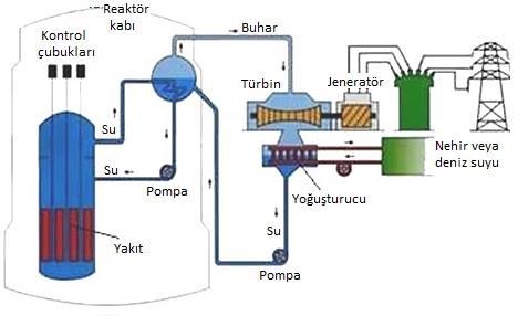 42 sistemleri yapılan analizin kapsamında olmadığı için burada bahsedilmemiştir. Şekil 3.1 te bir VVER nükleer güç santralinin basitleştirilmiş bir akım şeması gösterilmektedir [37].