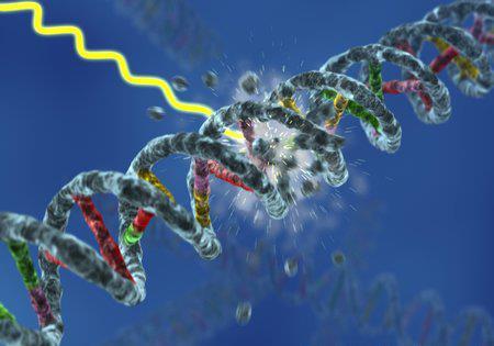 Gıda Işınlama (06) Gıda ışınlamada doğrudan (direkt) ve dolaylı (indirekt) etki vardır. Temel etki, DNA nın ışın ile kırılmasıdır (doğrudan etki). DNA tek ya da çift iplikçikten kırılabilir.