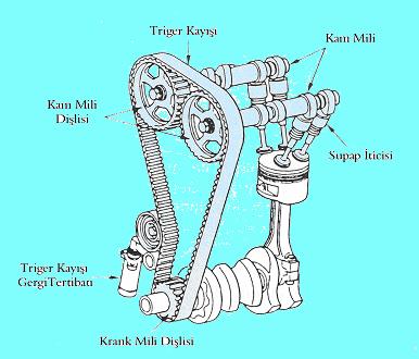 Şekil 2.4: Üstten eksantrikli tip supap mekanizması Şekil 2.4 te de üstten eksantrikli iki kam milli bir motorun supap sistemi görülmektedir. Bu sistemde, Şekil 2.